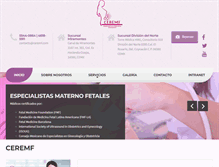 Tablet Screenshot of ceremf.com